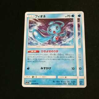 フィオネ 2枚セット