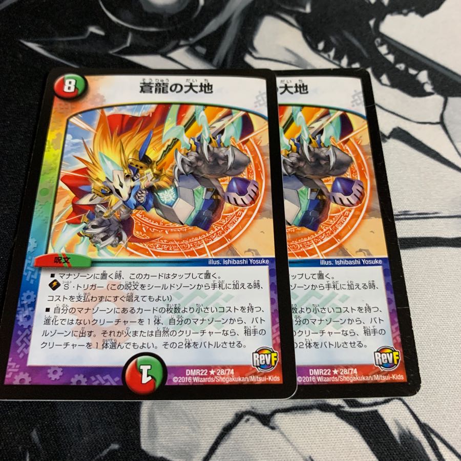 蒼龍の大地 2枚