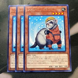 レスキューフェレット レア