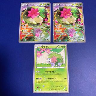 シェイミ CP5 3枚セット