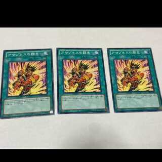 Yu-Gi-Oh! Amazoness Fighting Spirit 3 cards, model no. Ah-1756