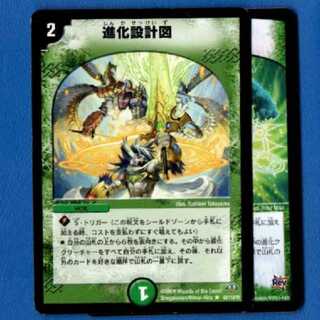 専用、進化設計図　1枚