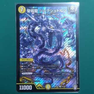 聖板龍 ジークシュトルツ