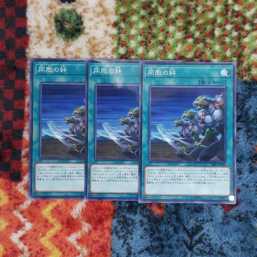 同胞の絆 パラレル ノーマル