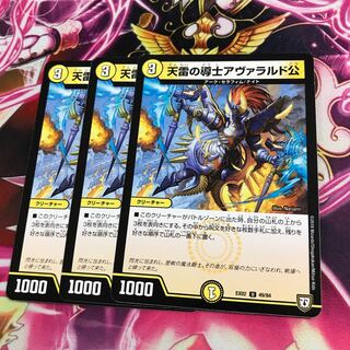 天雷の導士アヴァラルド公