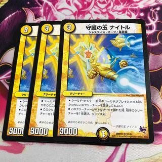 守護の玉 ナイトル