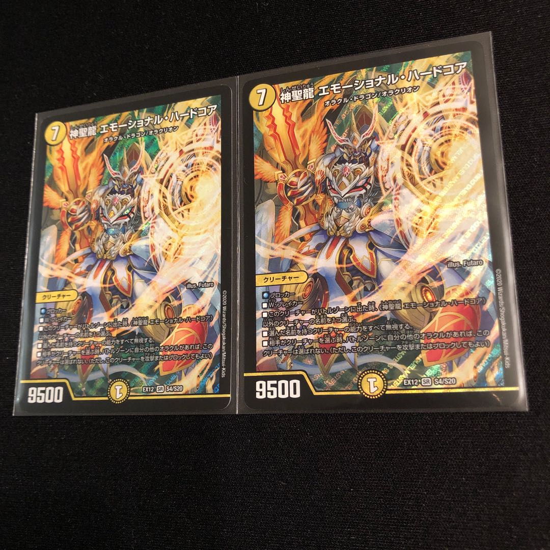 神聖龍 エモーショナル・ハードコア