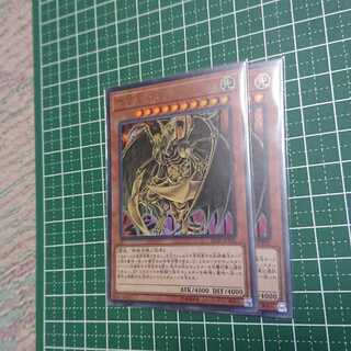 降雷皇ハモン2枚