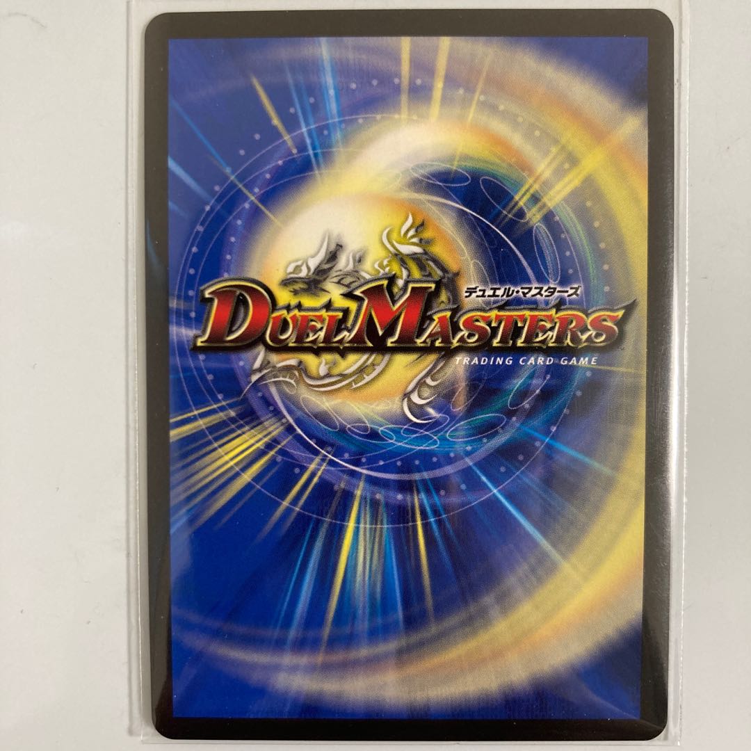 闘争類拳嘩目 ステゴロ・カイザー|お清めシャラップ