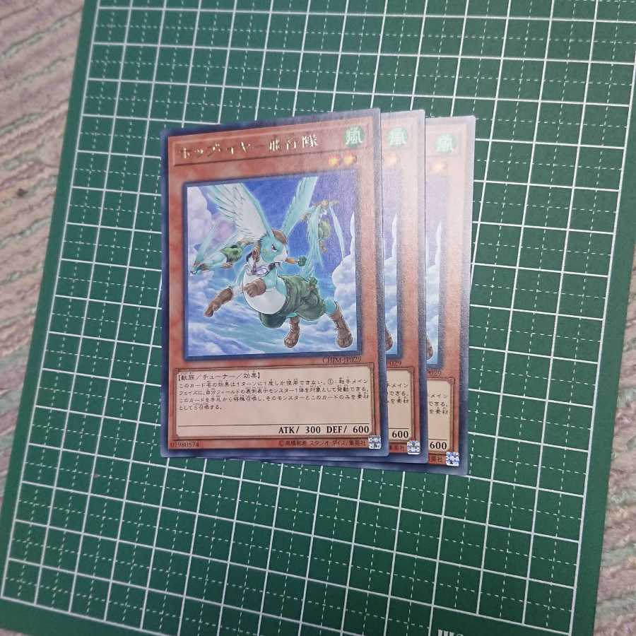 ホップ・イヤー飛行隊3枚