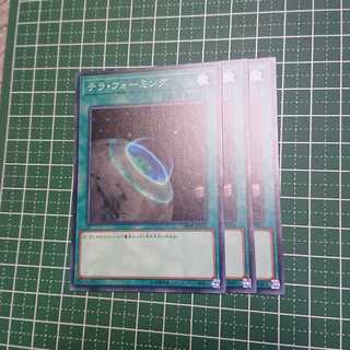 テラ・フォーミング3枚