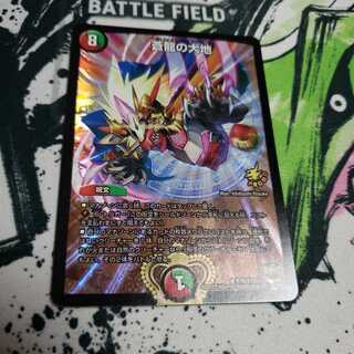 蒼龍の大地 傷あり