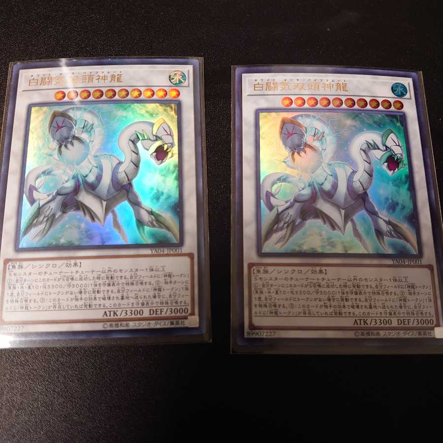 白闘気双頭神龍