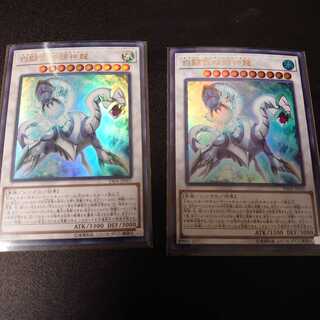 白闘気双頭神龍