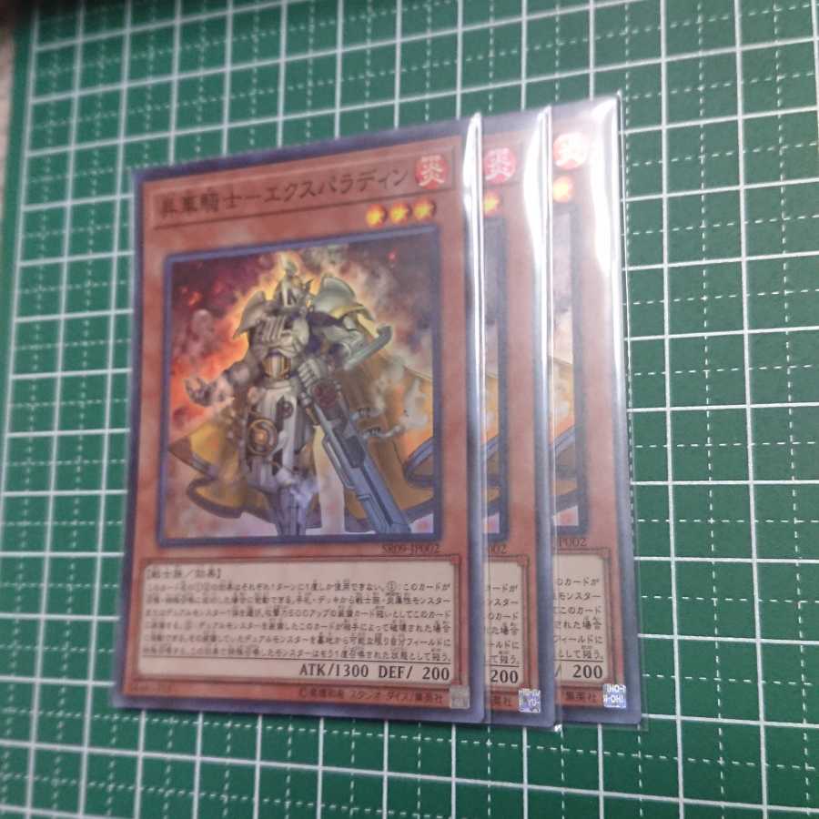 昇華騎士-エクスパラディン3枚