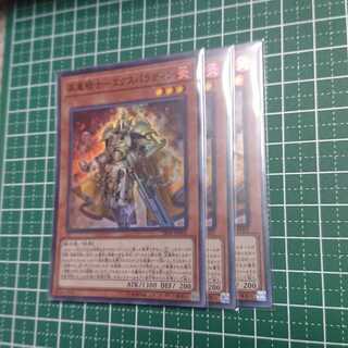 昇華騎士-エクスパラディン3枚