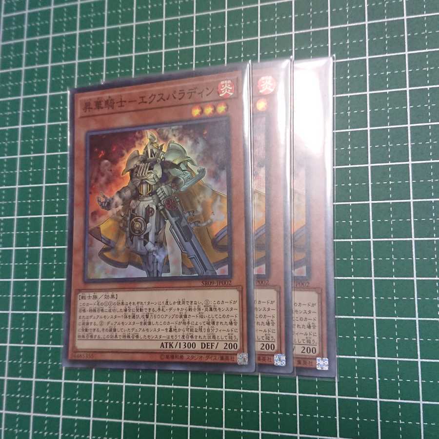 昇華騎士-エクスパラディン3枚