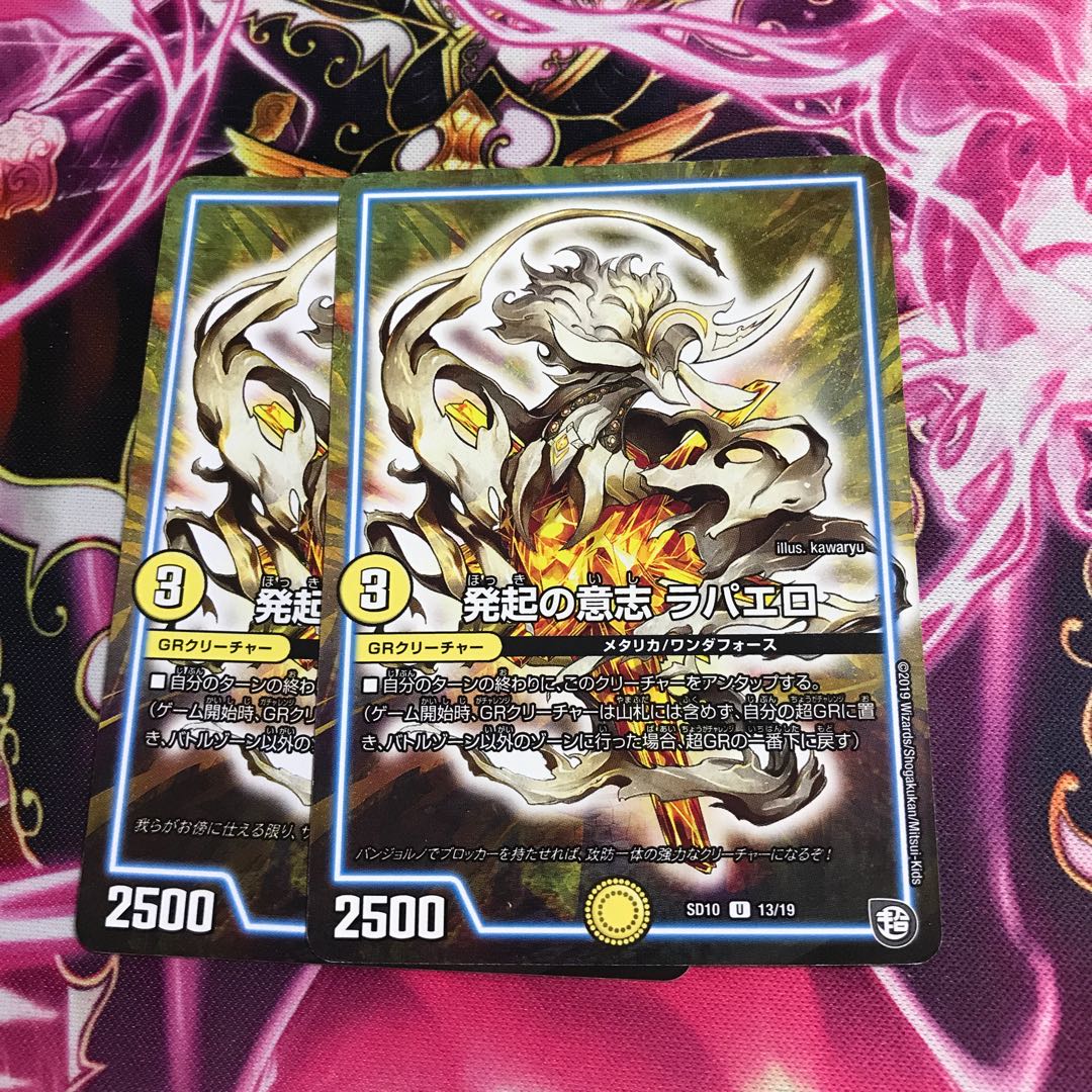 発起の意志 ラパエロ