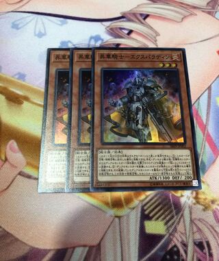 昇華騎士-エクスパラディン