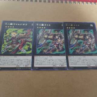 十二獣ワイルドボウ、ライカ