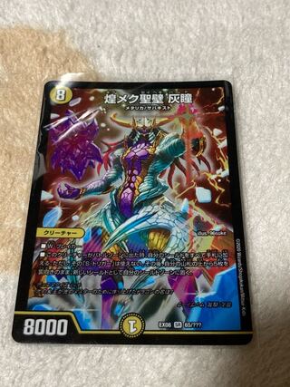 煌メク聖壁 灰瞳