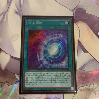 混沌領域 シークレットレア