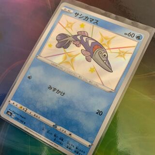 サシカマス　色違い