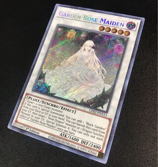 ガーデン・ローズ・メイデン