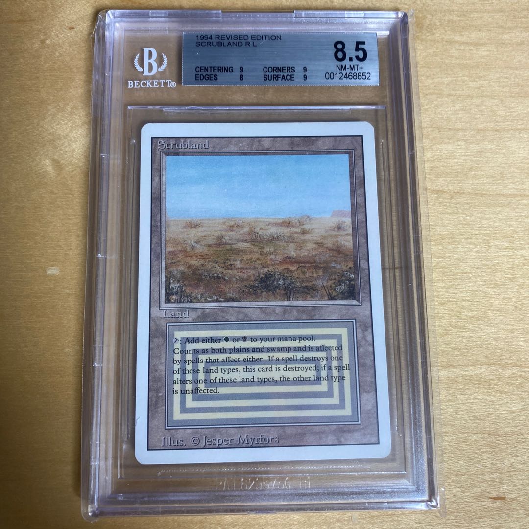 Scrubland 3ED BGS8.5 1枚