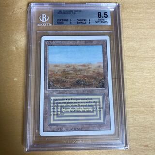 Scrubland 3ED BGS8.5 1枚