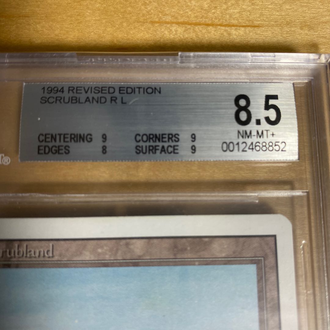 Scrubland 3ED BGS8.5 1枚