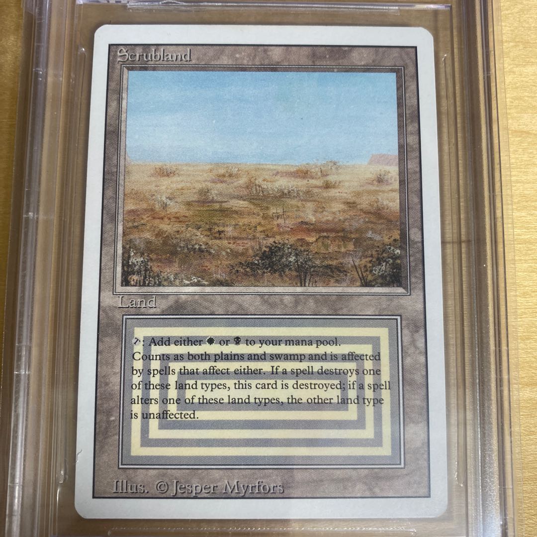 Scrubland 3ED BGS8.5 1枚