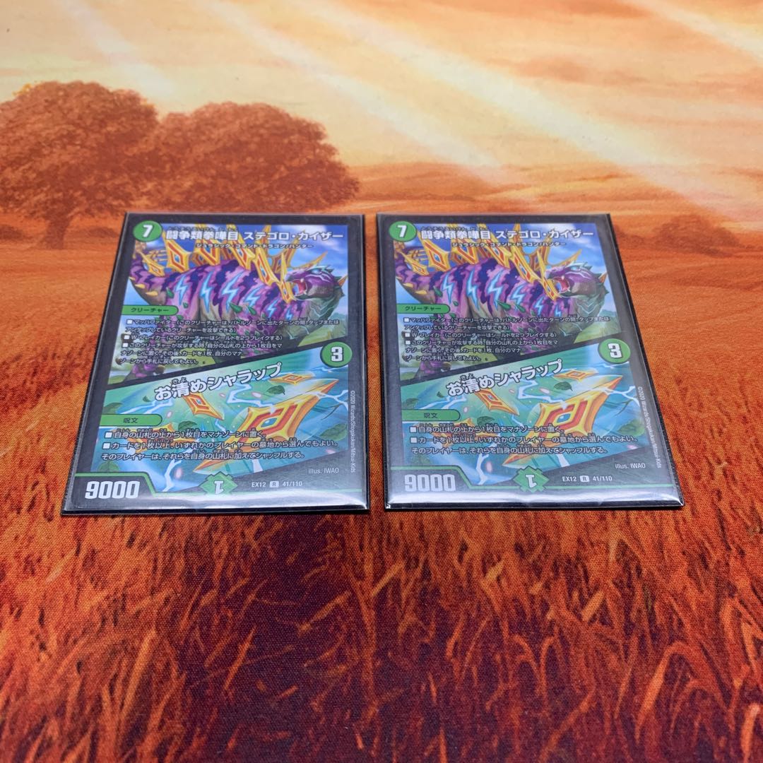 闘争類拳嘩目 ステゴロ・カイザー|お清めシャラップ