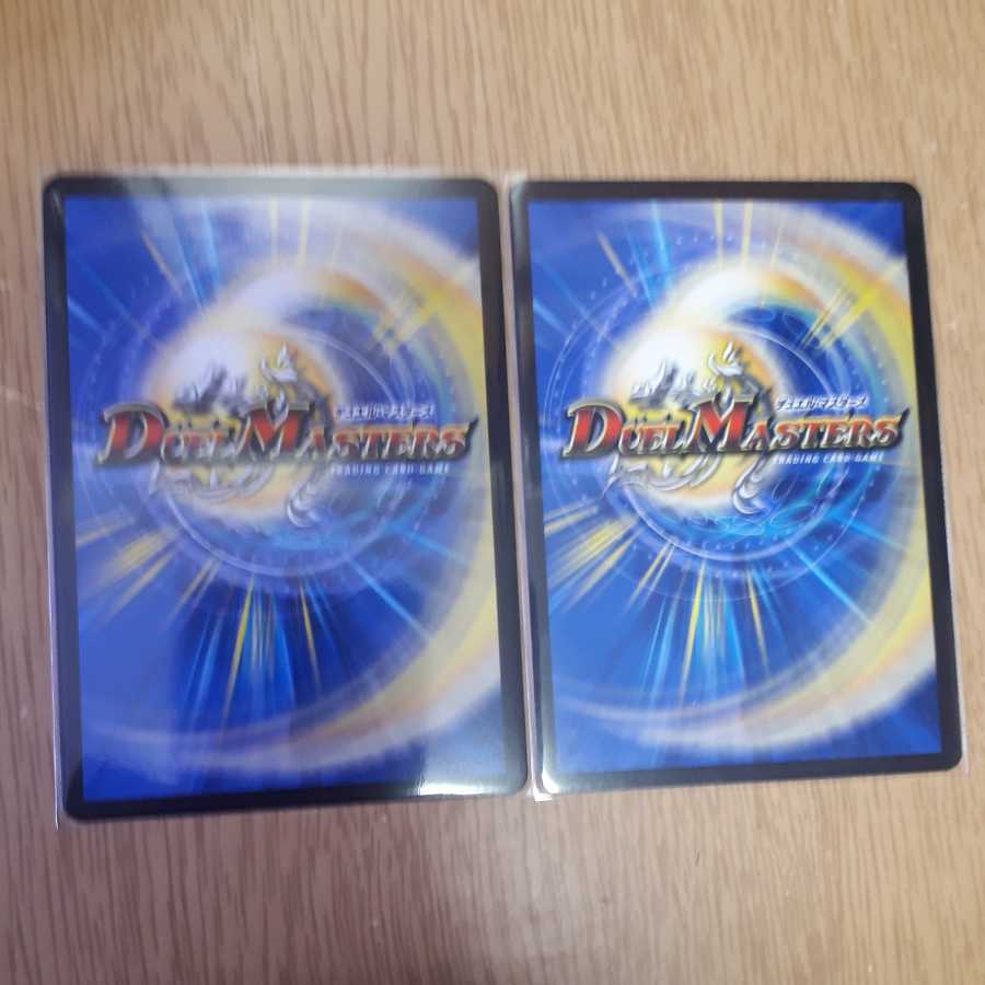 Chain of Tomorrow Hayabusa Twin SR