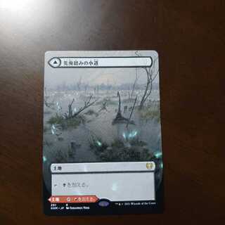 荒廃踏みの小道