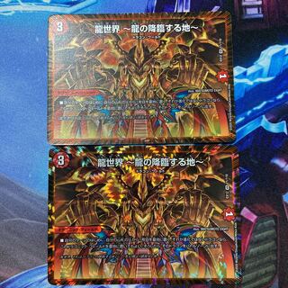 龍世界 -龍の降臨する地- VR 2枚