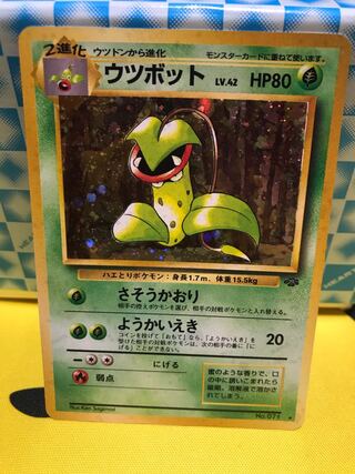 ウツボット 旧裏 【美品】