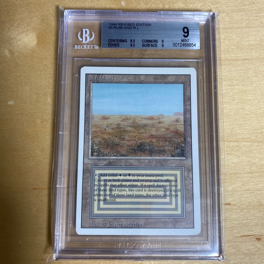 Scrubland 3ED BGS9 1枚