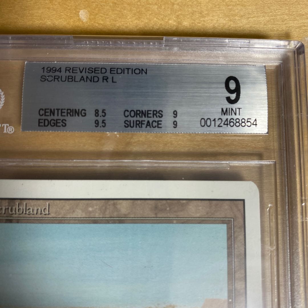 Scrubland 3ED BGS9 1枚