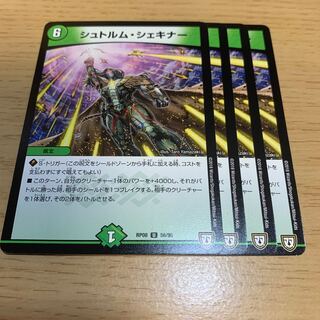 シュトルム・シェキナー U