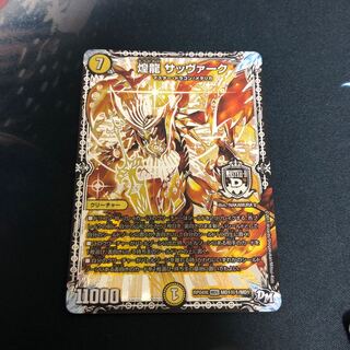 煌龍 サッヴァーク