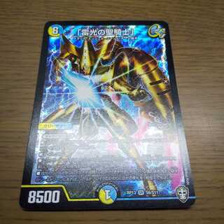 「雷光の聖騎士」