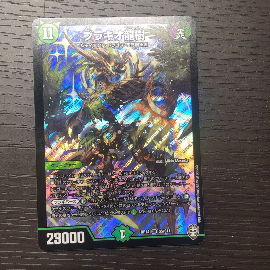 【最安値】ブラキオ龍樹