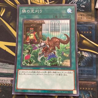 マドレース159隣の芝刈り スーパーレア