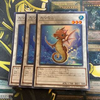 マドレース165たつのこ スーパーレア