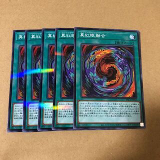 遊戯王　ノーパラ   真紅眼融合　5枚