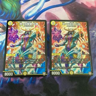 煌メク聖壁 灰瞳