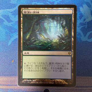 霧深い雨林 レア