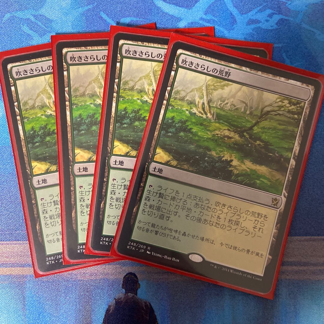 吹きさらしの荒野 レア