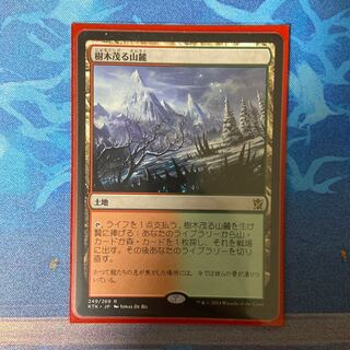 【1030268663様専用】樹木茂る山麓 ×3